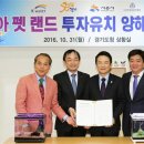 경기관상어 이미지