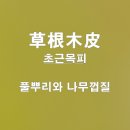 초근목피 이미지
