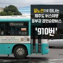 동부권 버스여행 '910번' 이미지