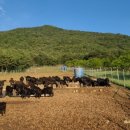 순이네농장 이미지