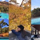 종가집숯불갈비 이미지