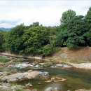 상림주유소 이미지