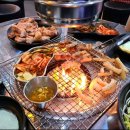 신세계꽃돼지
