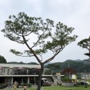 펠리시아