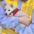 UR(화성시)-13-하-2 | 반려마루 화성 강아지 봉사 후기-2026년 2