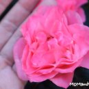 힐링 미니 이미지