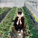 리라이브 이미지