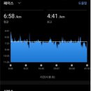 동아버스 이미지