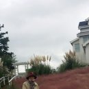 바람처럼구름처럼 이미지