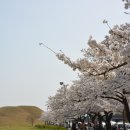 경주시 황남동 123-2번지 주변에 산재한 황남동 대형건물지(皇南洞 大形建物址)