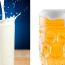 TEAM-K MMA GYM 이미지