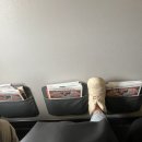 1617 | 히로시마행 제주항공 7C1617 후기, 히로시마공항에서 히로시마 시내 가는 방법