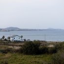 비양도 봄날 민박 이미지