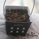 꼬물이공방 이미지