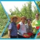 신기십장생마을 이미지