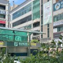 세실로 L 네이버블로그