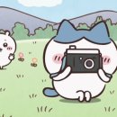 재희목장 이미지