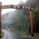 오도산자연휴양림(합천) 이미지