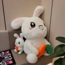 라팡산부인과의원 이미지