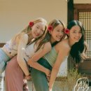 요가라이프 이미지