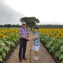 그리다투어&버스 이미지