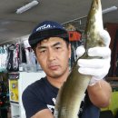 대물장어 이미지