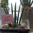 57번지게스트하우스 이미지