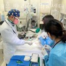 하태흥반려동물의료센터 이미지