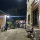 반딧불안경 이미지