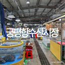 궁평항 어항구역 내 주차장 일부 | 경기도 화성 가볼만한곳 궁평항수산시장 수산물직판장 새우튀김 맛집 대박이네 주차장