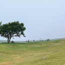 모자목장 이미지