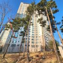 평택비전아이파크 101동 네이버블로그