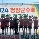 청양공설운동장 이미지