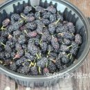 귀동농장 이미지