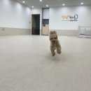 경주유치원 이미지