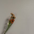 호수준의원 | [송파고은빛 산부인과] 제왕절개 출산 후기 | 1인실 비용, 입원 4박5일 실제 후기