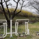 거창생태공원 화장실 이미지