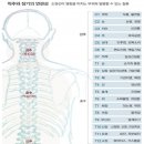 라파엘의원 이미지
