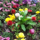 옥경목장 이미지