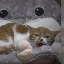 진상농장 이미지