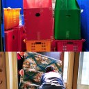 처분이사 이미지