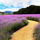 물돌이농장 이미지