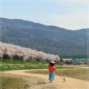 황산공원 이미지