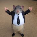 크로아 소금빵 이미지