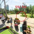 용봉어린이공원 이미지