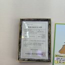 인천 영종도 운서동 정육점 추천 고기파는아빠 목살 1근 포장해서 요리한 후기