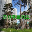 디오션 수약국 이미지