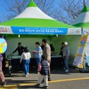 태백산맥거리1 이미지