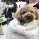 재진축산 이미지