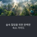 춘천숲자연휴양림 인기 숙소 완전 정복: 숲속의집부터 캠핑 데크까지